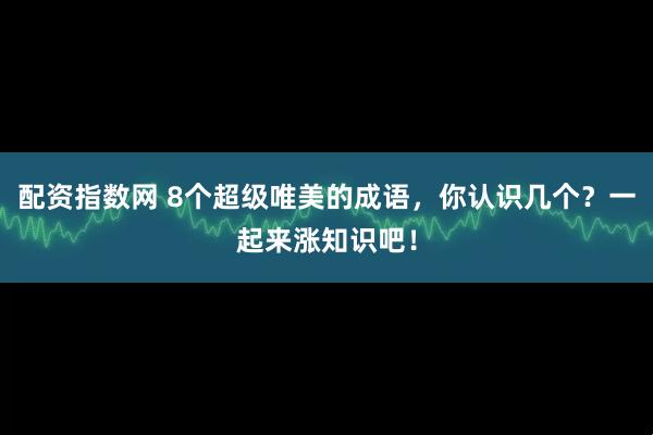 配资指数网 8个超级唯美的成语，你认识几个？一起来涨知识吧！