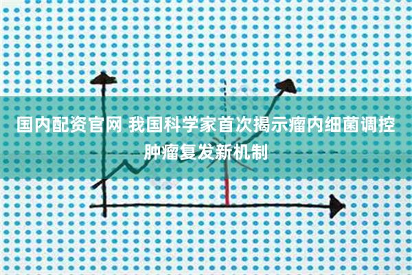 国内配资官网 我国科学家首次揭示瘤内细菌调控肿瘤复发新机制