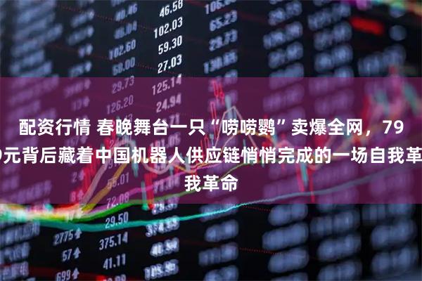 配资行情 春晚舞台一只“唠唠鹦”卖爆全网，7999元背后藏着中国机器人供应链悄悄完成的一场自我革命