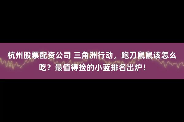 杭州股票配资公司 三角洲行动，跑刀鼠鼠该怎么吃？最值得捡的小蓝排名出炉！